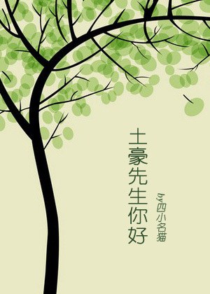 土豪先生你好txt下载
