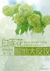 白莲花掘地大反攻txt下载