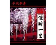 迷醉一生txt下载