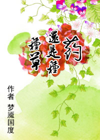 种草还是种药txt下载