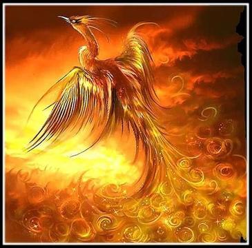 重生也重生 重生也重生