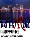 高官风流txt下载