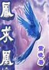凤求凰 全+番txt下载