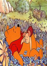 农村那些事 娃娃婚姻txt下载