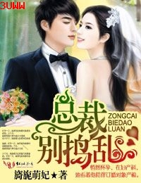 总裁,别捣乱txt下载