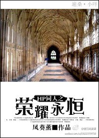 hp同人之荣耀永恒txt下载