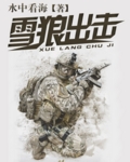 雪狼出击txt下载