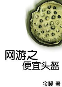 网游之便宜头盔txt下载