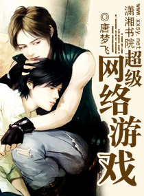 超级网络游戏 超级网络游戏