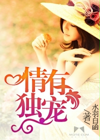 情有独宠txt下载