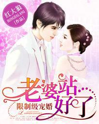 限制级宠婚:老婆站好了txt下载