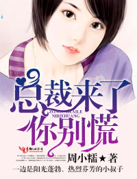 总裁来了,你别慌