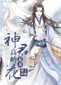 神君是朵高岭花txt下载