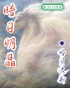 暗日明晶txt下载