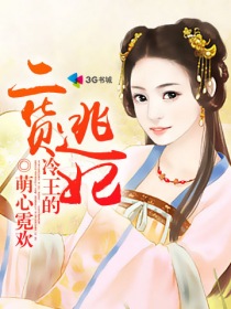 冷王的二货逃妃txt下载