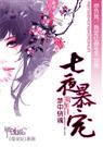 七夜暴宠txt