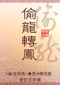 偷龙转凤txt下载