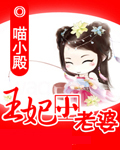 王妃小老婆txt下载
