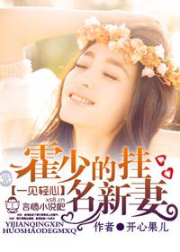 一见轻心,霍少的挂名新妻txt下载
