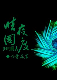 hp同人之暗夜国度