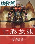 七彩龙魂txt下载