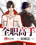 全职高手txt下载