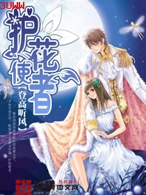 护花使者txt下载