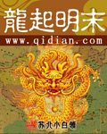 龙起明末txt下载
