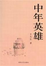 中年英雄txt下载