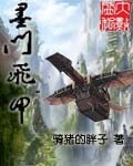 墨门飞甲txt下载