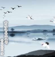 重生之天龙八部 重生之天龙八部