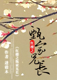 红楼之甄家兄长txt下载