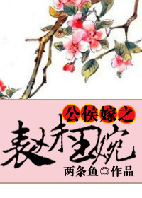 公侯嫁之表妹王婉txt下载