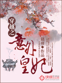 穿越之意外皇妃txt下载