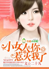 小女人,你惹火我了