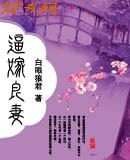 逼嫁良妻txt下载