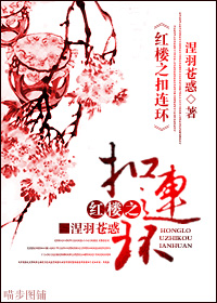 红楼之扣连环txt下载