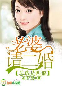 总裁是匹狼,老婆请二婚