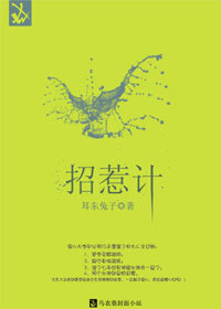 招惹计txt下载