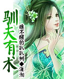 驯夫有术txt下载