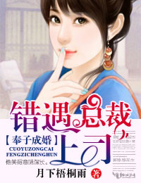 奉子成婚,错遇总裁上司txt下载