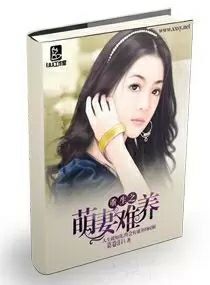 ����֮��������