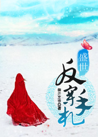 盛世反穿手札txt下载