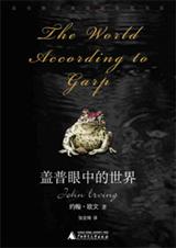 盖普眼中的世界