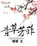 青草芳菲txt下载