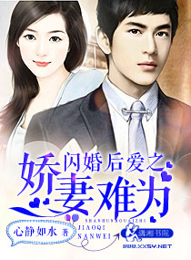 闪婚后爱之娇妻难为