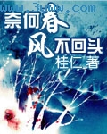 奈何春风不回头txt下载