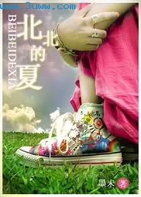 北北的夏txt下载