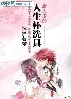 唐大少的人生杯洗具txt下载