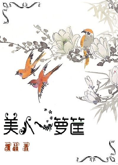 美人一箩筐txt下载